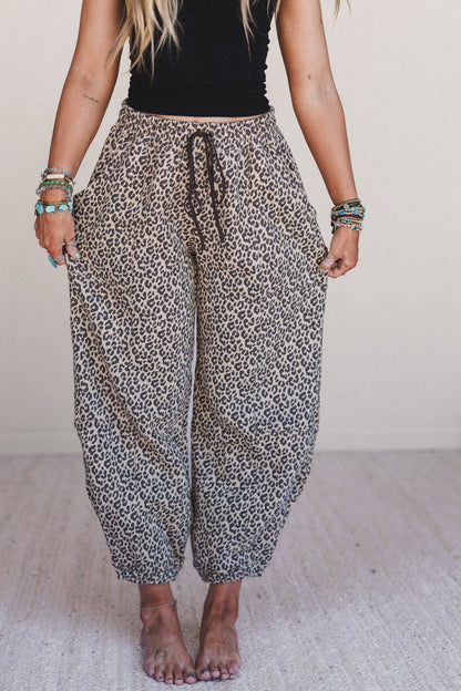 Wildcat Leopard Pants - Black