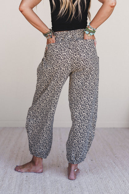 Wildcat Leopard Pants - Black